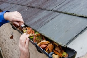 gutter