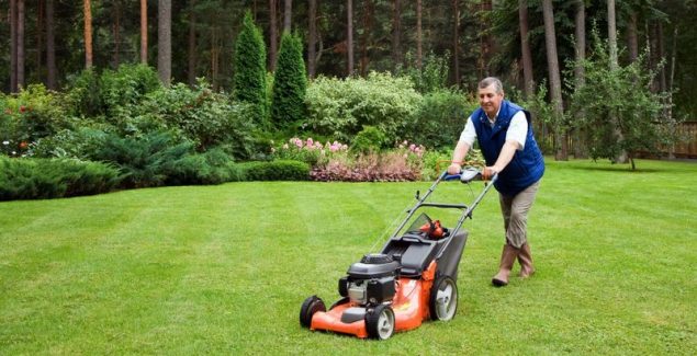 Carefully Consider Several Landscape Design Ideas for the Perfect Yard