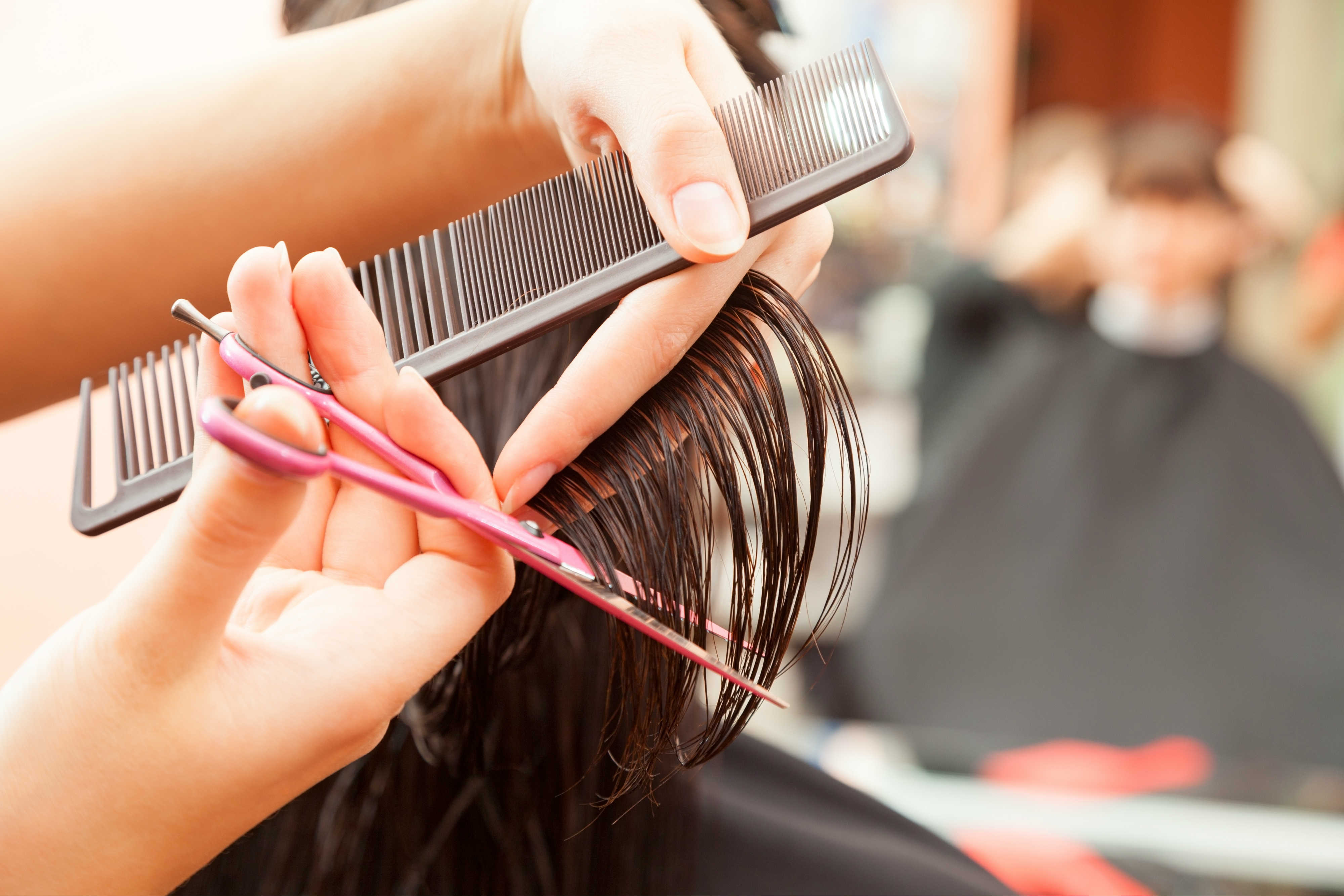 Present Day Salons: Haircuts and Beyond