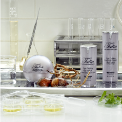 Tips for Choosing the Best Eye Cream for Dark Circles