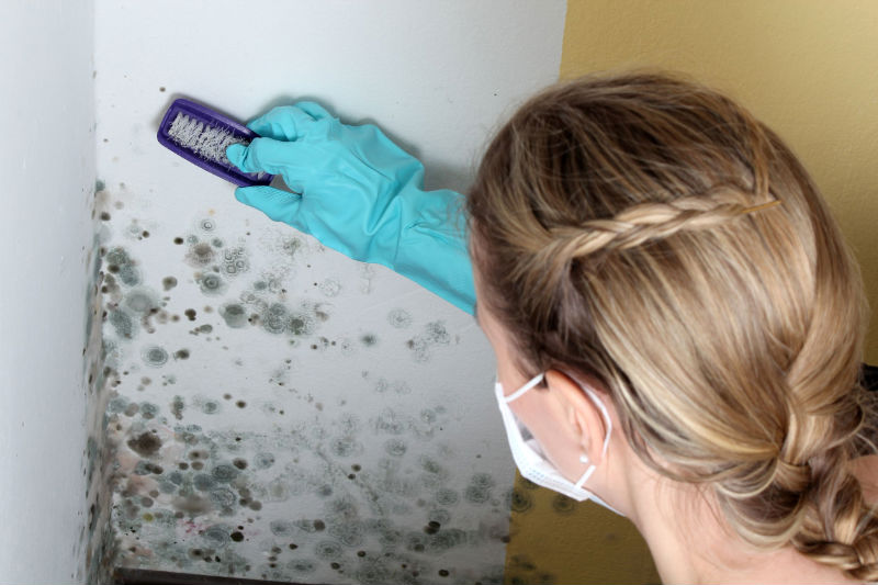 Mold Remediation Services in Alexandria VA and Keeping it Away