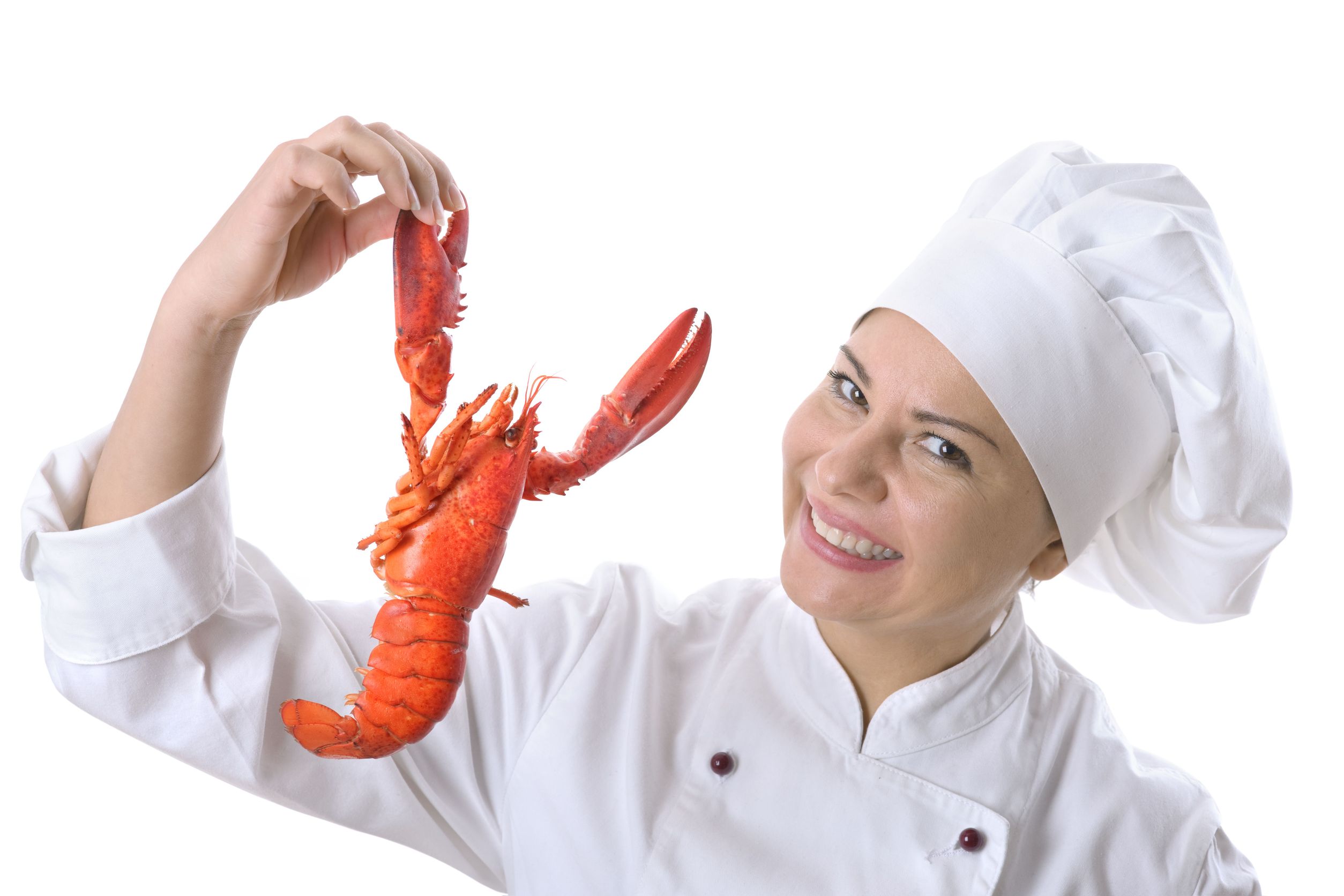 6 Lobster Buying Tips for Rookies