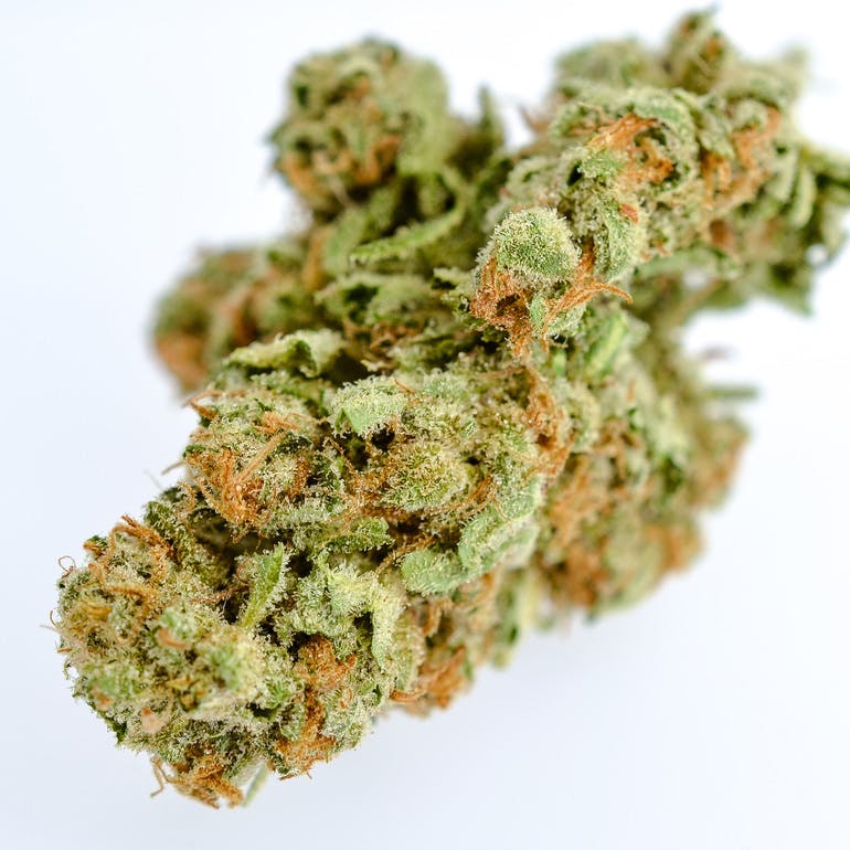 Medical Cannabis Delivery Trending Up