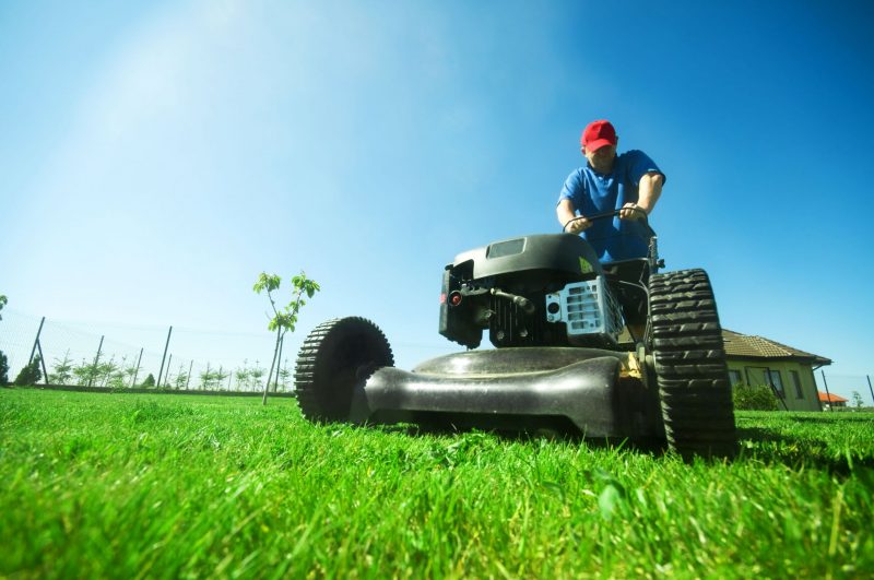 The Importance of Lawn Pest Control in Grapevine, TX