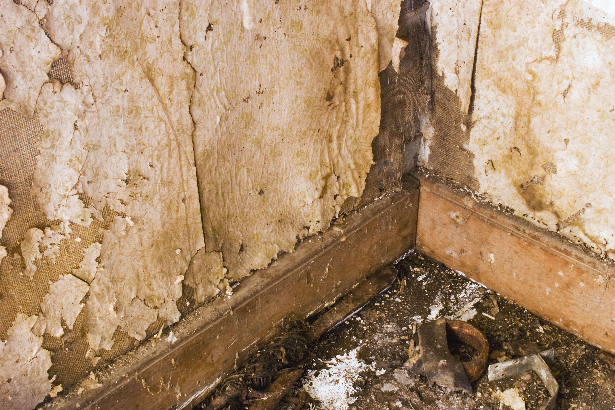 What to Know About a Slab Leak Repair in Edmond OK