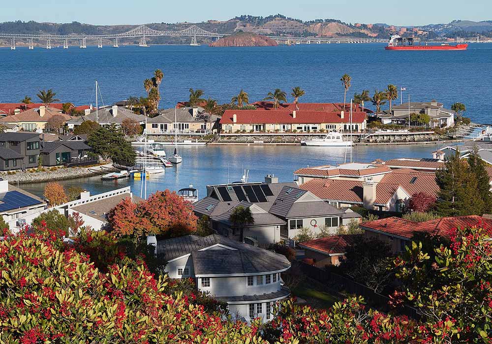 Common Reasons For Home Window Replacement In Marin County