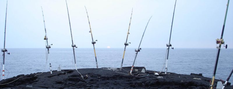 A Good Marine Supply in Honolulu Is What You’ll Need for Your Next Outing