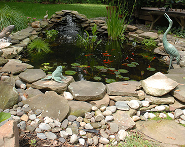 Benefits of Installing Backyard Aquascapes in Waukesha, WI