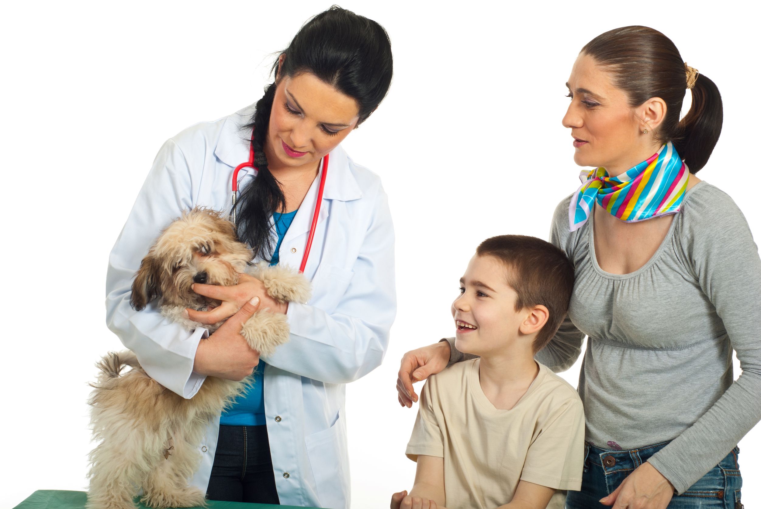 What Type of Veterinary Service in Bel Air, MD Do You Currently Use?
