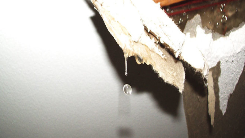 What Should Homeowners Know About Water Damage Restoration in Aurora CO?