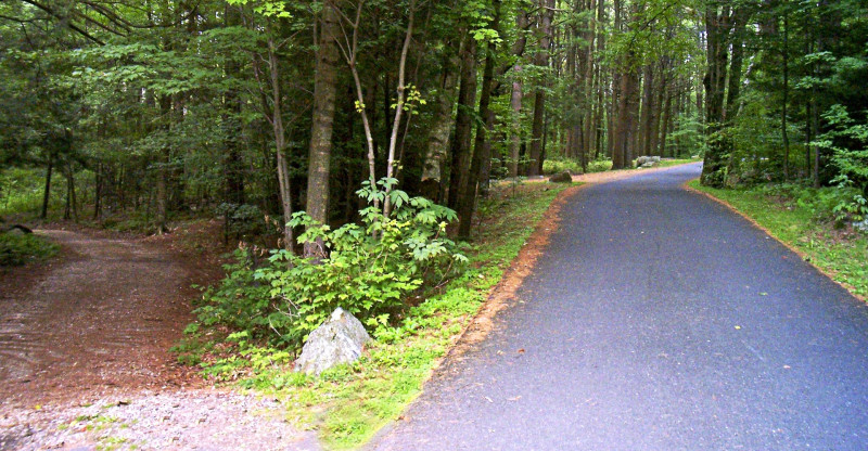 Get a Professional Driveway Paving Contractor for Quality Work