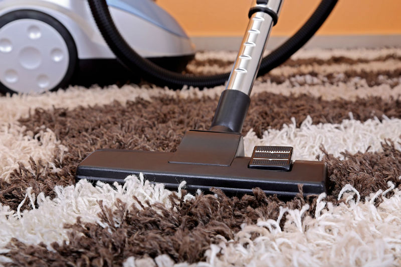 The Many Benefits of Getting Carpet Cleaning in Bothell, Washington