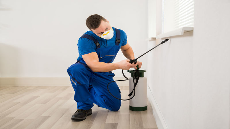 The Importance of Pest Control in Peachtree City, GA