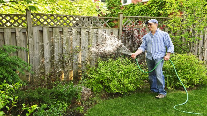 Five Ways Mulch Keeps Your Garden Healthy and Thriving in Vancouver, WA