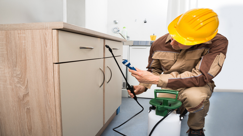 Comprehensive Guide to Residential Pest Control in Lodi, CA: Keeping Your Home Safe And Pest-Free
