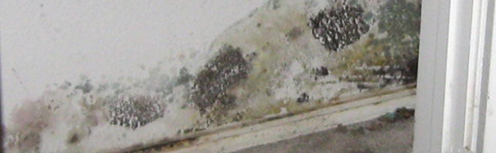 Why You Should Use a Sewer Backup Cleaning Service in Denver, CO