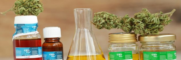 The Advantages Of Ohio Medical Marijuana Telemedicine Services
