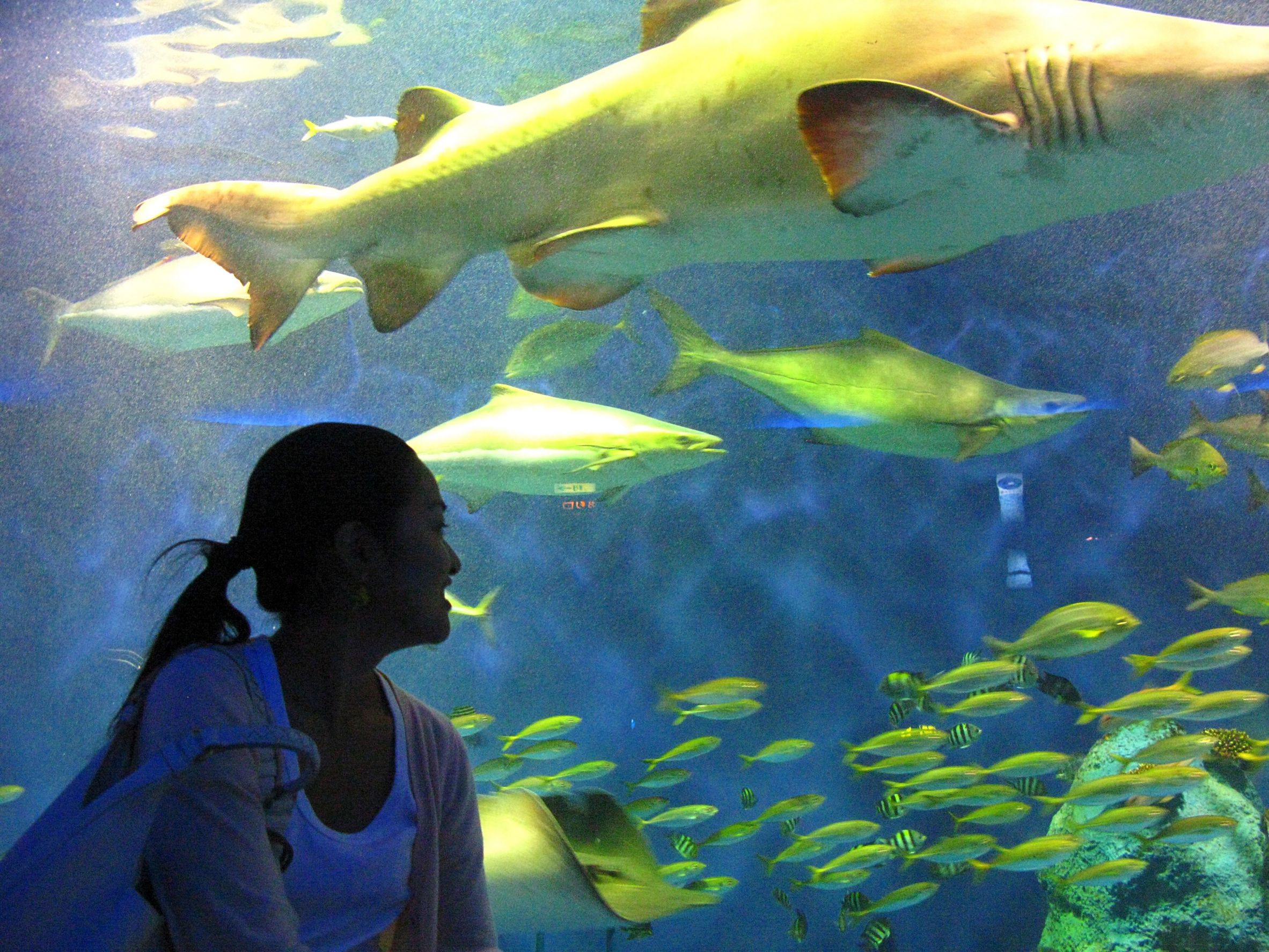 Going to a Science Center for Family Time in Miami is a Fun Option