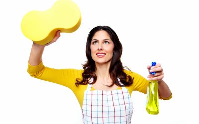 Florida Resources: House Cleaning Services in Scotch Plains, NJ