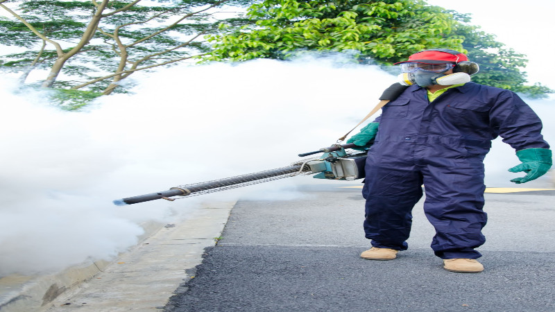 Why You Should Hire a Pest Control Fort Myers FL Specialist