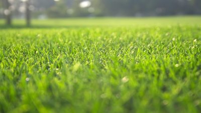 Benefits of Joining a Farmers’ Cooperative in Syracuse, NE