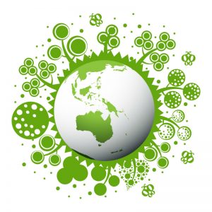 What Is an Agricultural Value Chain?