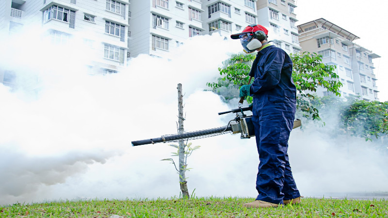 The Advantages of Hiring a Pest Control Company in Fort Myers, FL