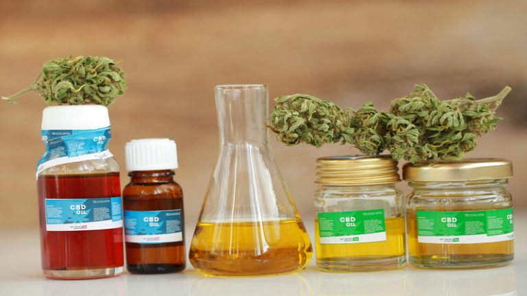 Top-Quality CBD Pet Tinctures for Your Furry Friends in Warner’s Best
