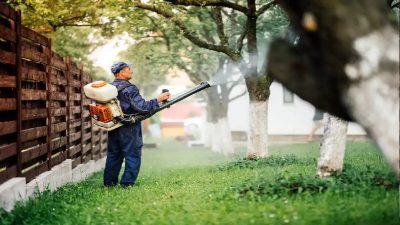 You Need Help with Mosquito Control in Louisville, KY