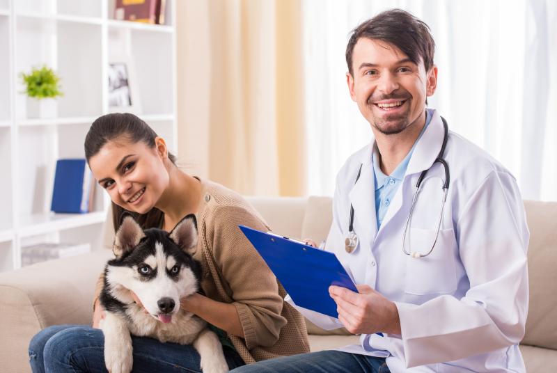 Signs That A Dog Needs To Go To A Pet Hospital In Murrieta CA