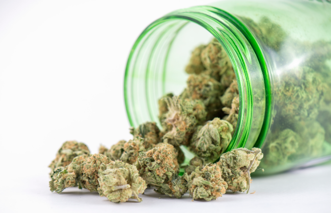 How to Find the Best Cannabis Available When Youre in Big Rapids