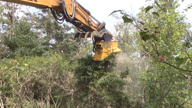 Top Uses for a Brush Cutter for an Excavator