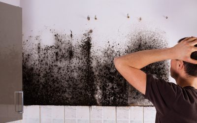 The Importance of Commercial Asbestos Inspections in Boulder, CO for Safe Renovations
