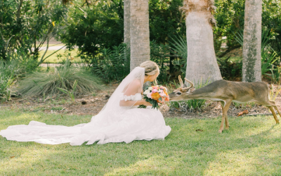 Explore Serenity at Fripp Island Resorts: Your Ultimate Retreat