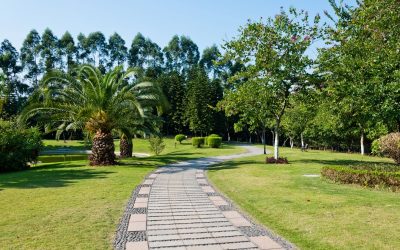 Maintain vibrant and protected surfaces with paver sealing in Bonita Springs, FL