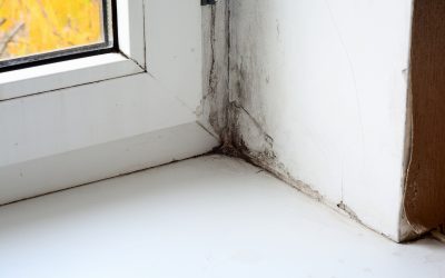 Water Restoration Mesa AZ: Effective Solutions for Your Home