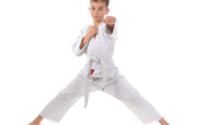 Build Confidence and Discipline with Kids Martial Arts in Wellington, CO