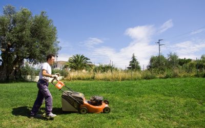 Master the secrets to a lush yard with expert Lawn Care, Winter Garden, FL homeowners trust.