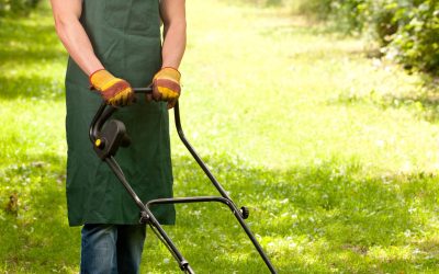 Essential Seasonal Tips for Thriving Grass Using Lawn Care Minnetonka MN Services