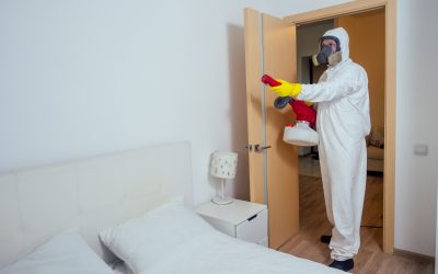 Why Choosing a Pest Control Company in Sarasota, FL, Ensures Healthier Living Spaces