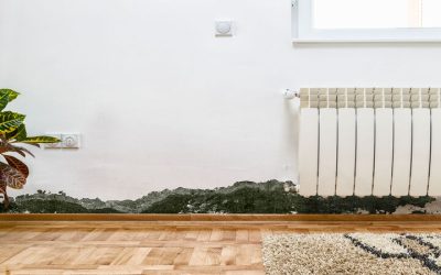Homeowners Address Hidden Dangers Using Mold Removal In Denver, CO, Solutions Fast