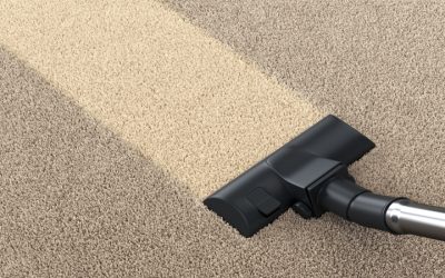 Why Businesses Need Commercial Carpet Cleaning in Madison, WI, to Boost Safety and Professional Image