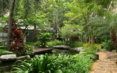Plant Nursery Paramus NJ: Find Quality Plants for Every Landscape