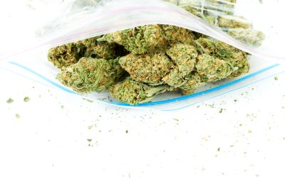 Experience Rich Flavor Profiles with Exotic THCA Flower for a Unique and Legal Hemp Journey