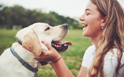 How Pet Dermatology Jacksonville FL Specialists Address Common Pet Skin Issues