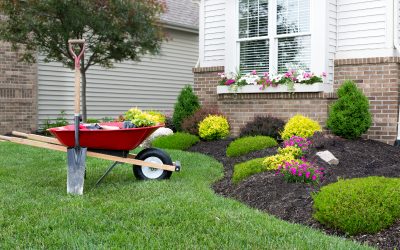 Transform Ordinary Grass into Beautiful Turf with Reliable Lawn Care Wesley Chapel